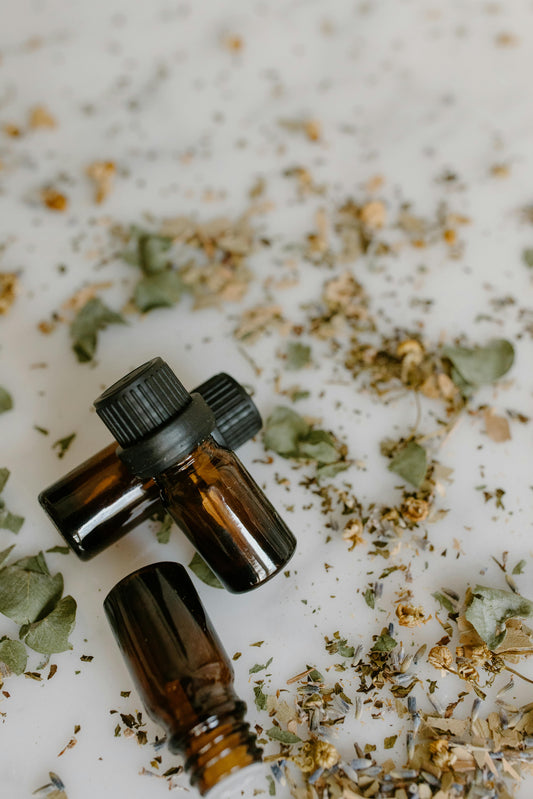 Harmonizing Scents with Nature: A Comparative Study