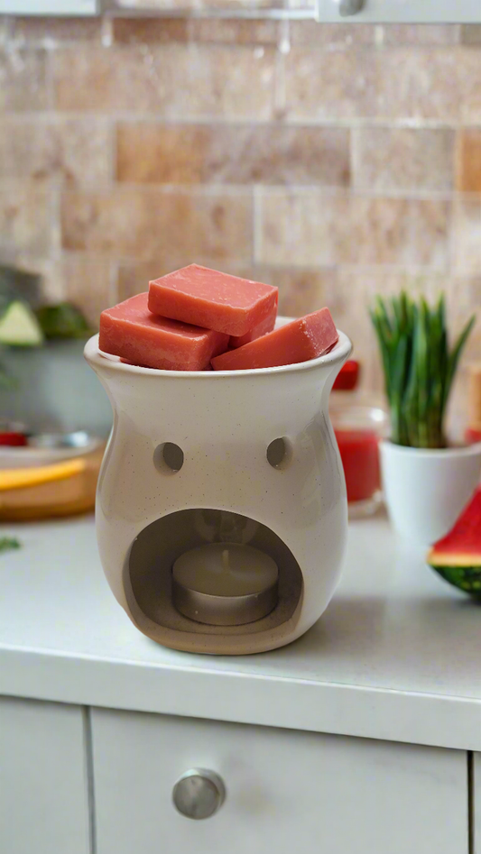 5 Pack Juicy watermelon Wax Melts