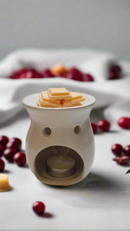 5 PACK Cranberry Apple Marmalade Wax Melts